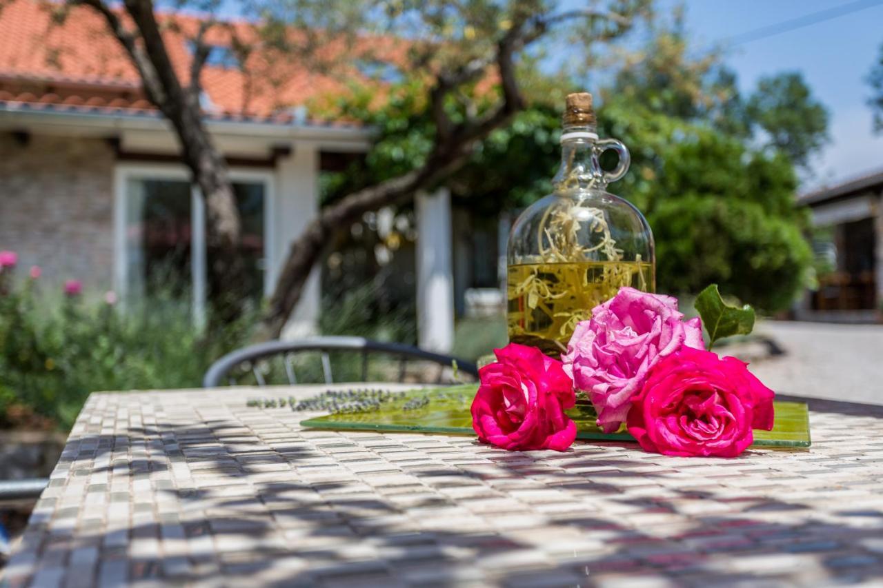 Molnar Resort Apartment Ljiljana Brzac エクステリア 写真