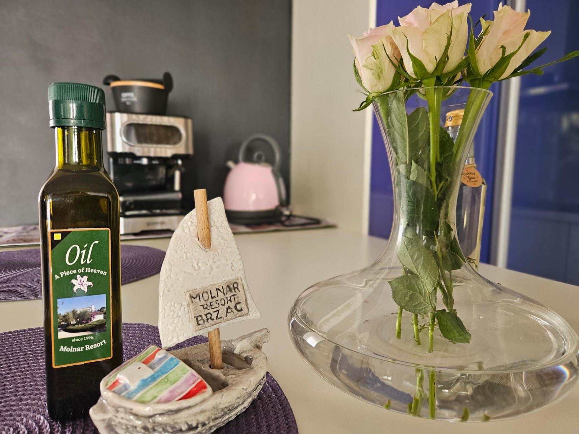 Molnar Resort Apartment Ljiljana Brzac エクステリア 写真