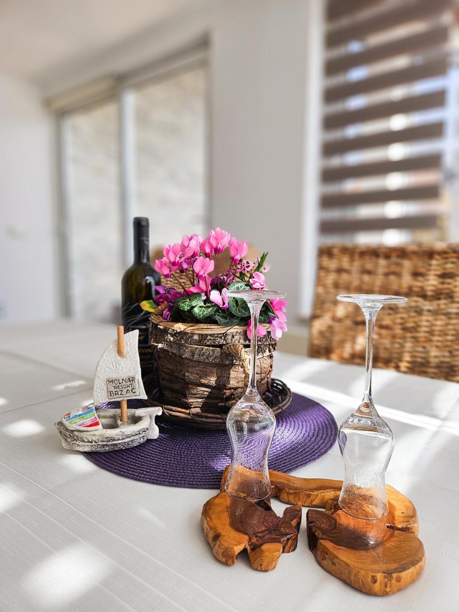 Molnar Resort Apartment Ljiljana Brzac エクステリア 写真